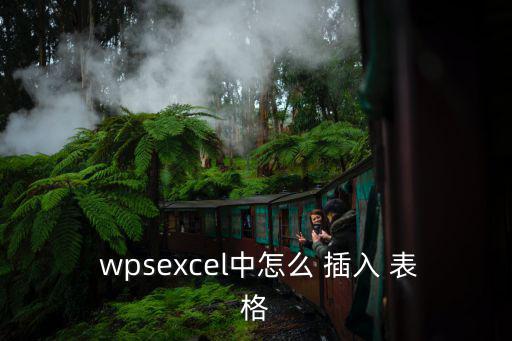  wpsexcel中怎么 插入 表格