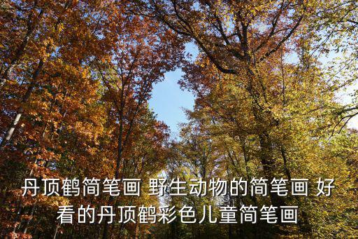 丹頂鶴簡筆畫 野生動物的簡筆畫 好看的丹頂鶴彩色兒童簡筆畫