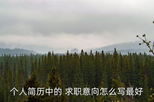 個人簡歷中的 求職意向怎么寫最好