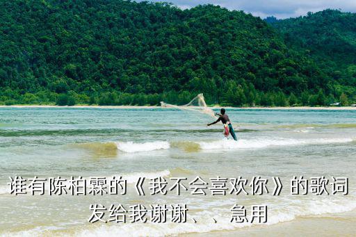我不會喜歡你,我不會喜歡你的仁之歌:我告訴自己我會努力