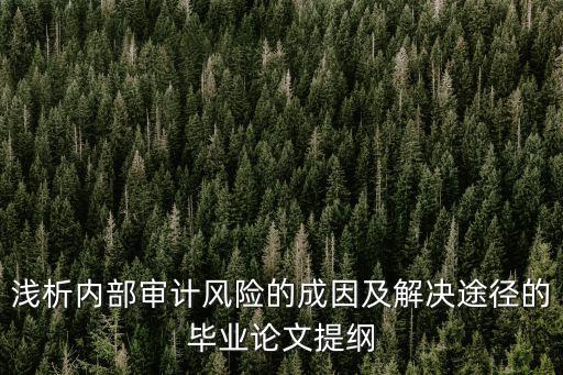 淺析內部審計風險的成因及解決途徑的畢業論文提綱
