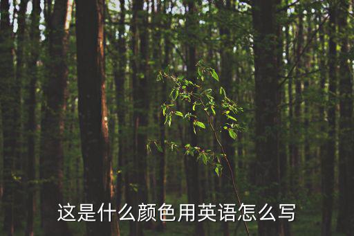 這是什么顏色用英語怎么寫