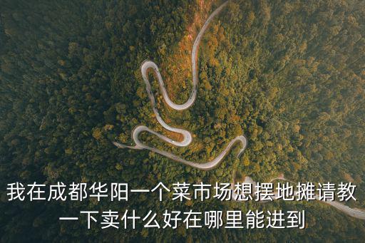 我在成都華陽一個菜市場想擺地攤請教一下賣什么好在哪里能進到