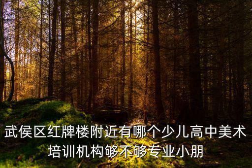 成都市一心匯學藝術(shù)教育培訓，成都高考美術(shù)培訓機構(gòu)哪家最好