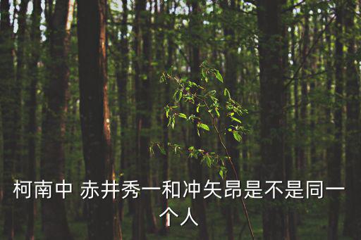 柯南中 赤井秀一和沖矢昂是不是同一個人