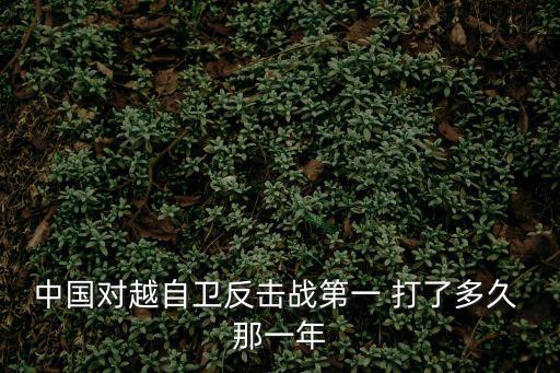 中國對越自衛反擊戰第一 打了多久 那一年