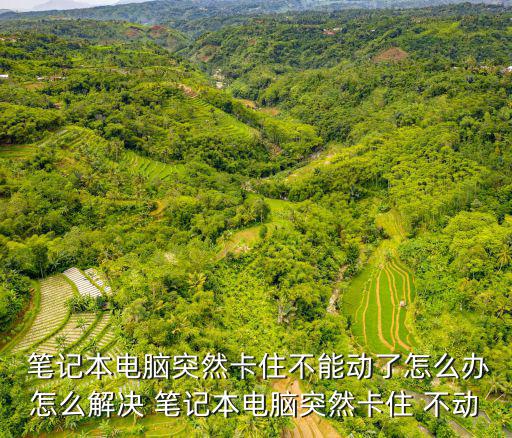  筆記本電腦突然卡住不能動了怎么辦怎么解決 筆記本電腦突然卡住 不動