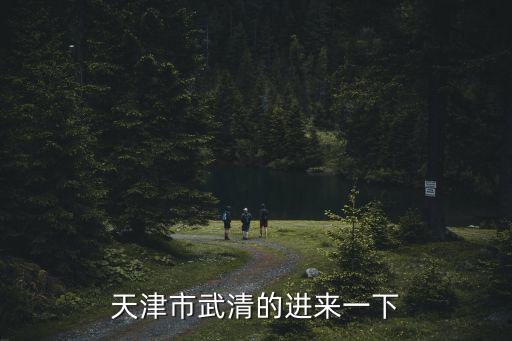 天津市武清的進來一下