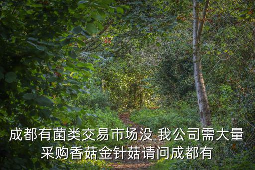 成都市平菇金針菇在哪里批發，請問成都的朋友在成都那里有專門的食用菌批發市場