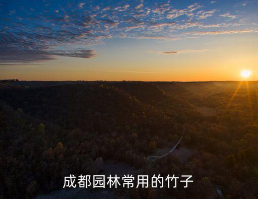 成都市竹子產業，成都市批發竹篾竹編筐的市場在哪里