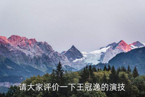 請大家評價一下王冠逸的演技