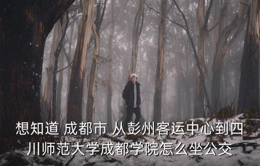 想知道 成都市 從彭州客運中心到四川師范大學成都學院怎么坐公交