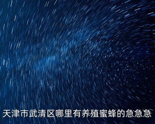 天津市武清區哪里有養殖蜜蜂的急急急