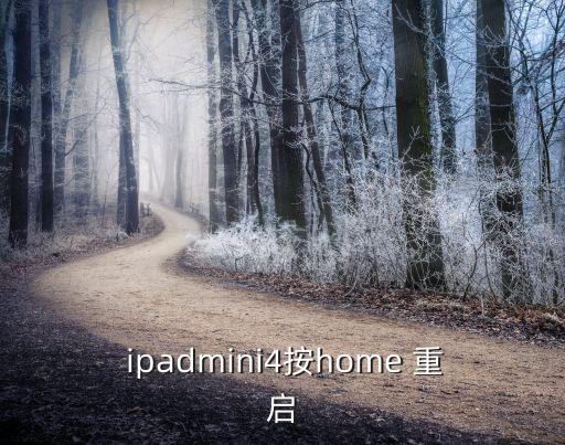  ipadmini4按home 重啟