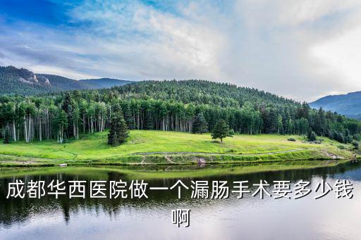成都華西醫院做一個漏腸手術要多少錢啊