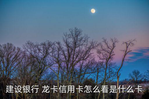 建設銀行 龍卡信用卡怎么看是什么卡
