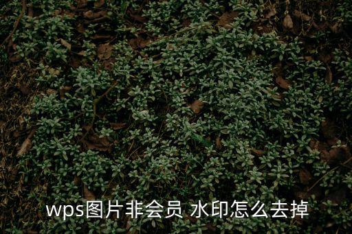  wps圖片非會員 水印怎么去掉