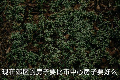 現在郊區的房子要比市中心房子要好么