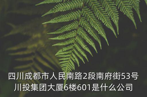 成都市乃馨控股，四川成都市人民南路2段南府街53號川投集團大廈6樓601是什么公司