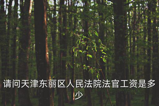 請問天津東麗區人民法院法官工資是多少
