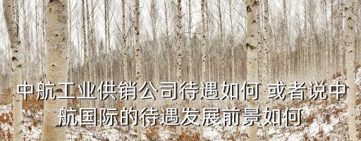 中航工業供銷公司待遇如何 或者說中航國際的待遇發展前景如何