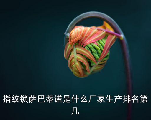 天津市南開區蒂諾珠寶銷售中心，佳妮蒂諾女包屬于幾線品牌