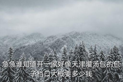 急急誰知道開一家好像天津灌湯包的包子檔口大概要多少錢