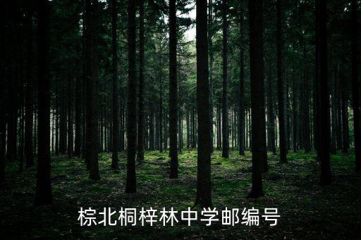 生源地代碼四川省成都市武侯區，棕北桐梓林中學郵編號