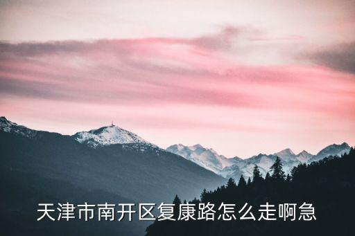 天津市南開區復康路怎么走啊急