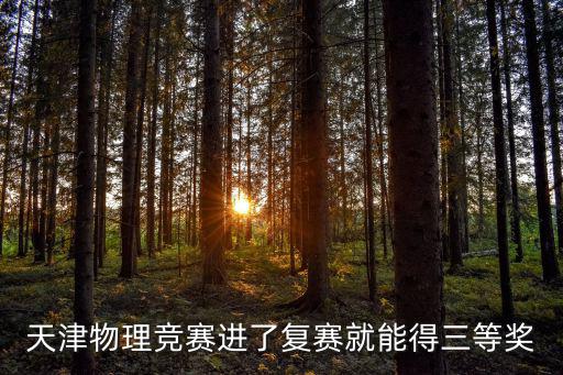 天津市37屆復賽獲獎名單，2014育苗杯復賽獲得一等獎的人有哪些