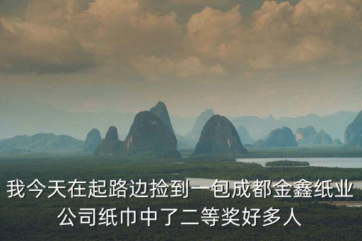 成都市阿爾紙業(yè)合格，成都有沒特種造紙