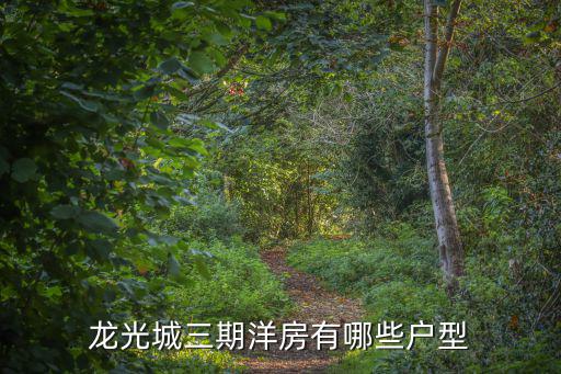 龍光城三期洋房有哪些戶型