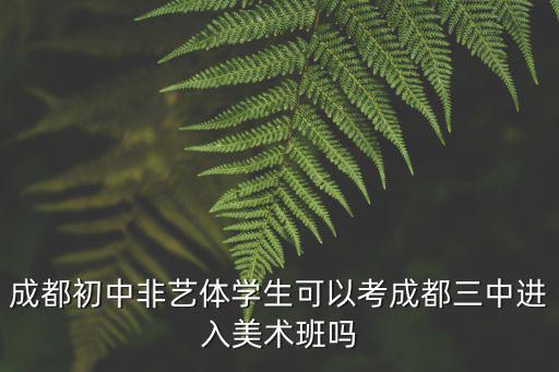 成都初中非藝體學生可以考成都三中進入美術班嗎