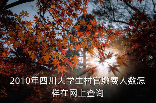 成都市大學生村官報名人數，2010年四川大學生村官繳費人數怎樣在網上查詢