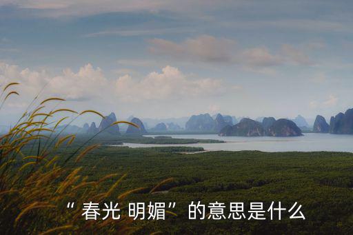 “ 春光 明媚”的意思是什么