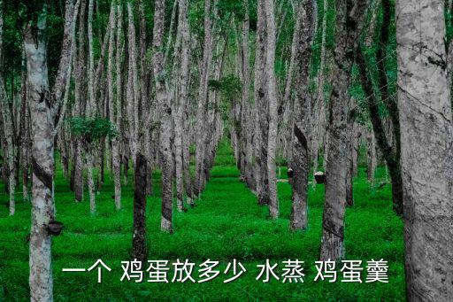 水蒸雞蛋羹,蒸雞蛋湯技1:蛋液和水量要合適