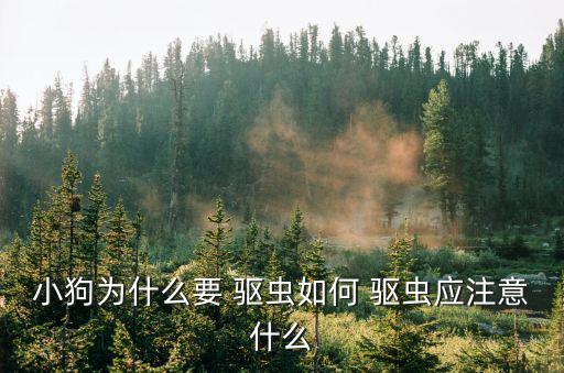 寵物為什么要驅蟲,為什么要給狗吃驅蟲草?因為它們是活的!