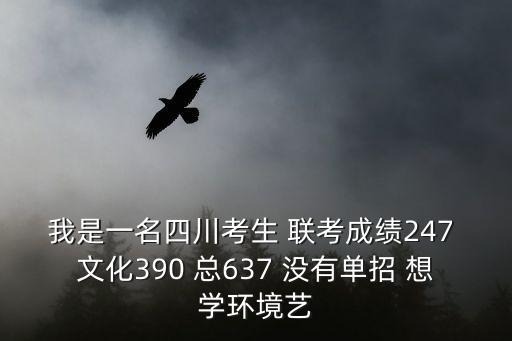 我是一名四川考生 聯考成績247 文化390 總637 沒有單招 想學環境藝