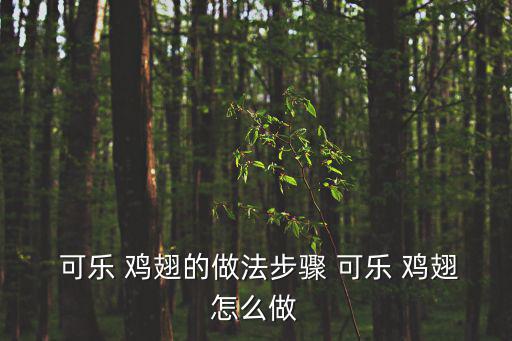 可樂 雞翅的做法步驟 可樂 雞翅怎么做