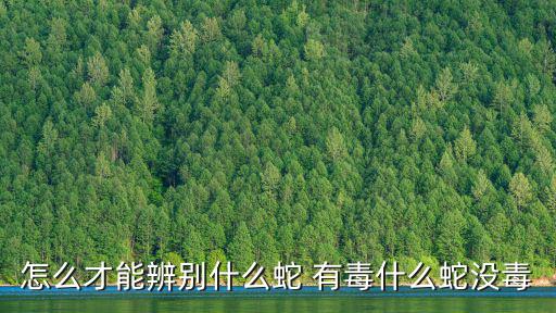 什么蛇有毒,三分鐘看懂!這三種蛇怎么咬你!