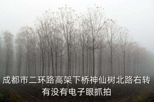 成都市二環(huán)路高架下橋神仙樹北路右轉(zhuǎn)有沒有電子眼抓拍