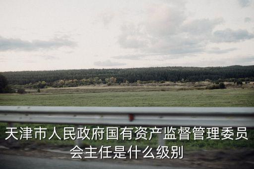 天津市人民政府國有資產(chǎn)監(jiān)督管理委員會主任是什么級別
