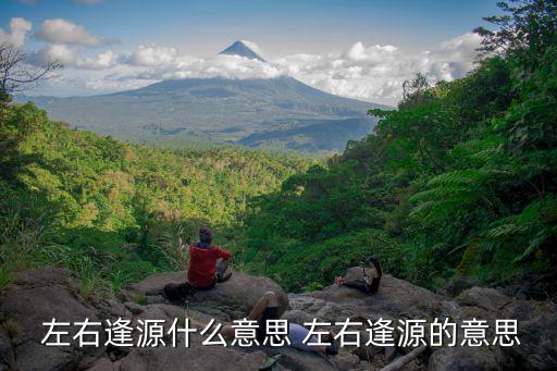 左右逢源什么意思