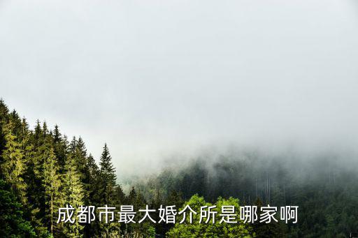 成都市糖姐組，想知道 成都市 四川成都青羊區清波路388號 在哪