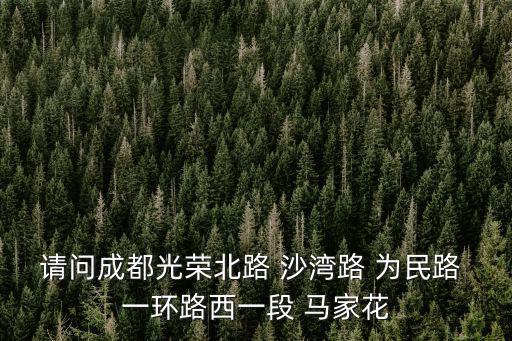 請(qǐng)問成都光榮北路 沙灣路 為民路 一環(huán)路西一段 馬家花