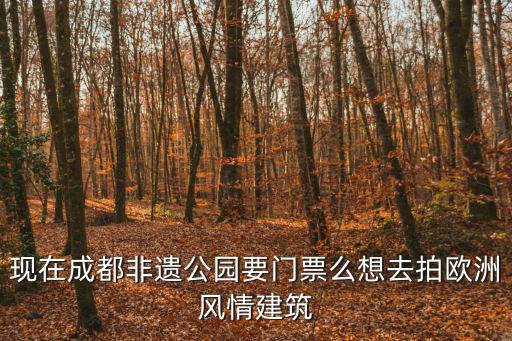 現在成都非遺公園要門票么想去拍歐洲風情建筑