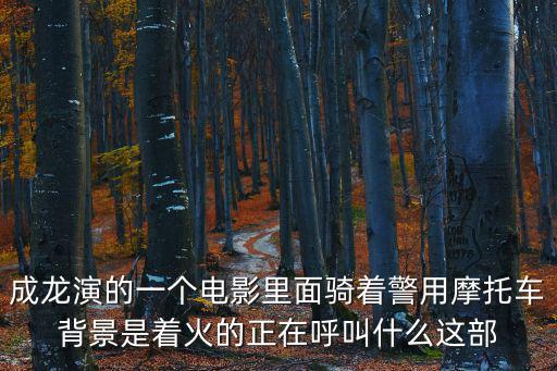 成都市警用摩托車盾牌招標，成都的警用摩托車有那些型號哦