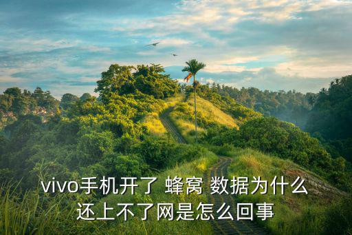 vivo手機開了 蜂窩 數據為什么還上不了網是怎么回事
