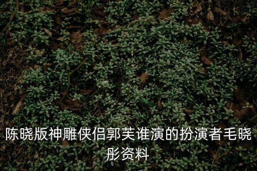 陳曉版神雕俠侶郭芙誰演的扮演者毛曉彤資料