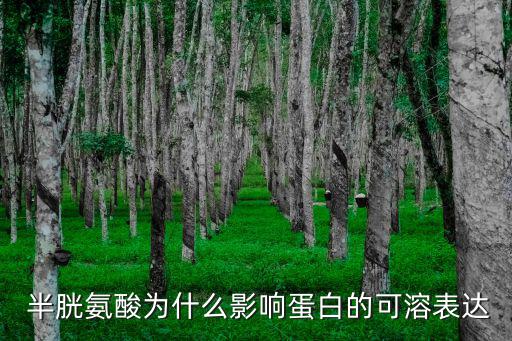  半胱氨酸為什么影響蛋白的可溶表達
